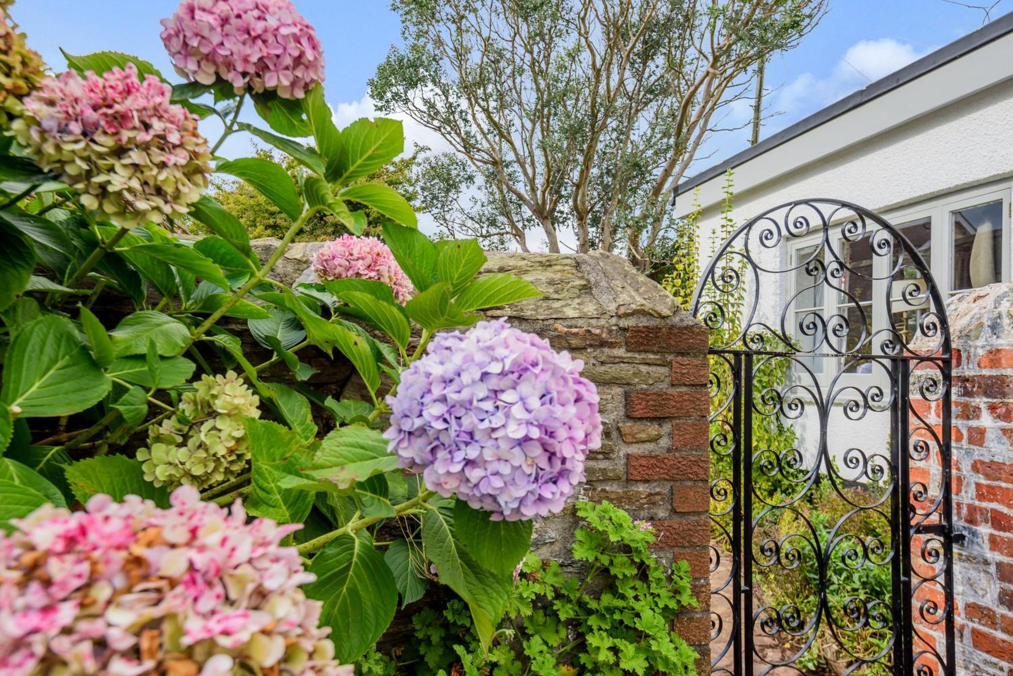 Malborough The Secret Gardenヴィラ エクステリア 写真